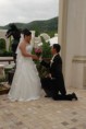 /album/fotogaleria-inicio1/dsc-0087-jpg/